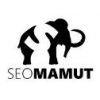 Seomamut - Tworzenie i pozycjonowanie stron internetowych
